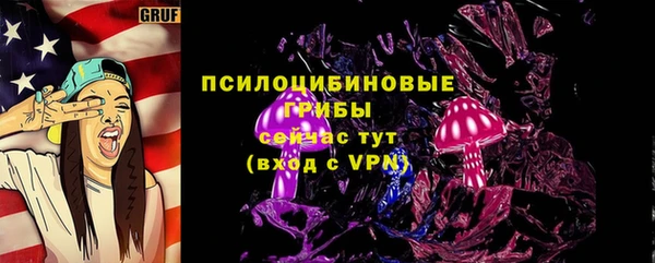 спайс Пересвет