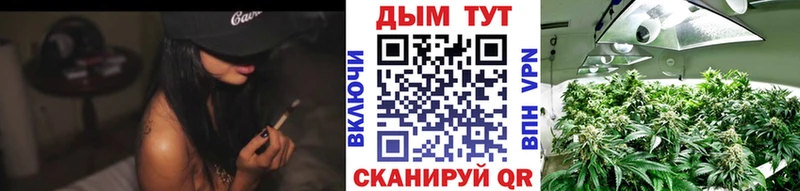 Шишки марихуана семена Кологрив
